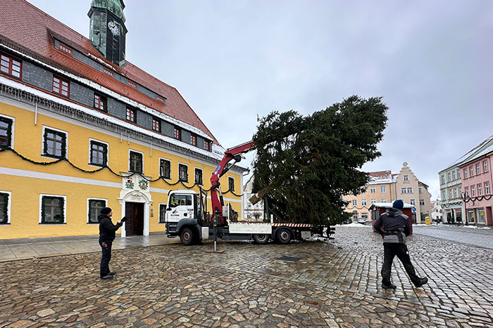 Aufrichten des Baumes
