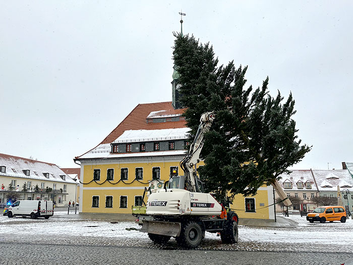Aufstellen des Weihnachtsbaumes