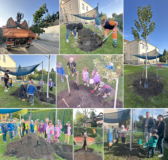 Baumpflanzchallenge Baumpflanzchallenge