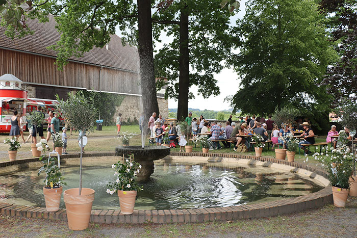 Brunnen im schattigen Schlosspark 