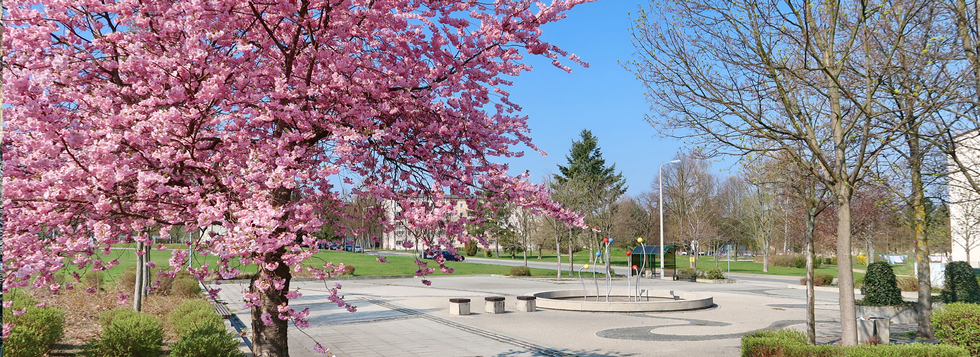 Frühling Neustadt West