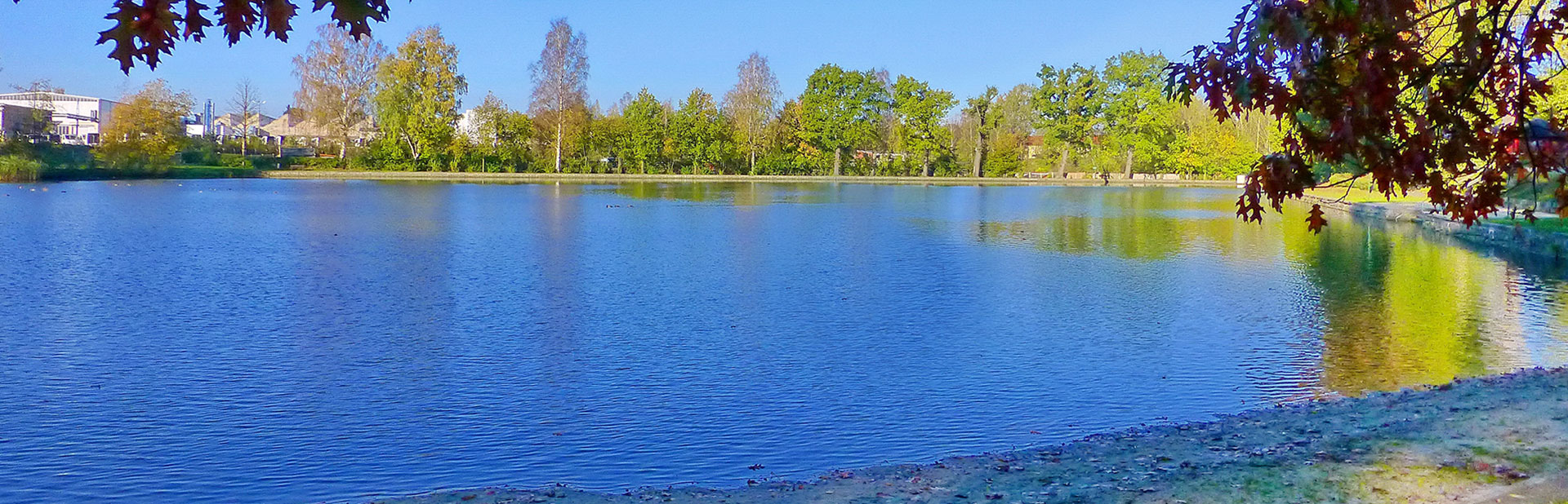 Freibadesee Freibadesee