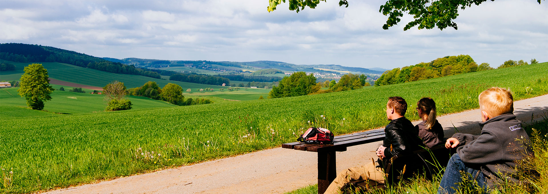 Blick Richtung Neustadt von der Raupenberstrasse Blick Richtung Neustadt von der Raupenberstrasse